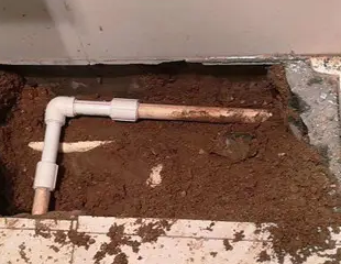 河源测漏水哪家好