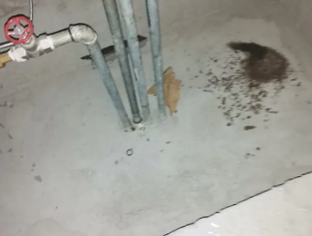 河源卫生间测漏水价格明细