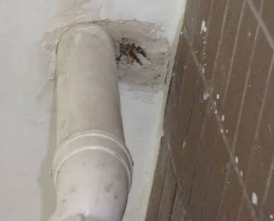 河源漏水检测哪家好